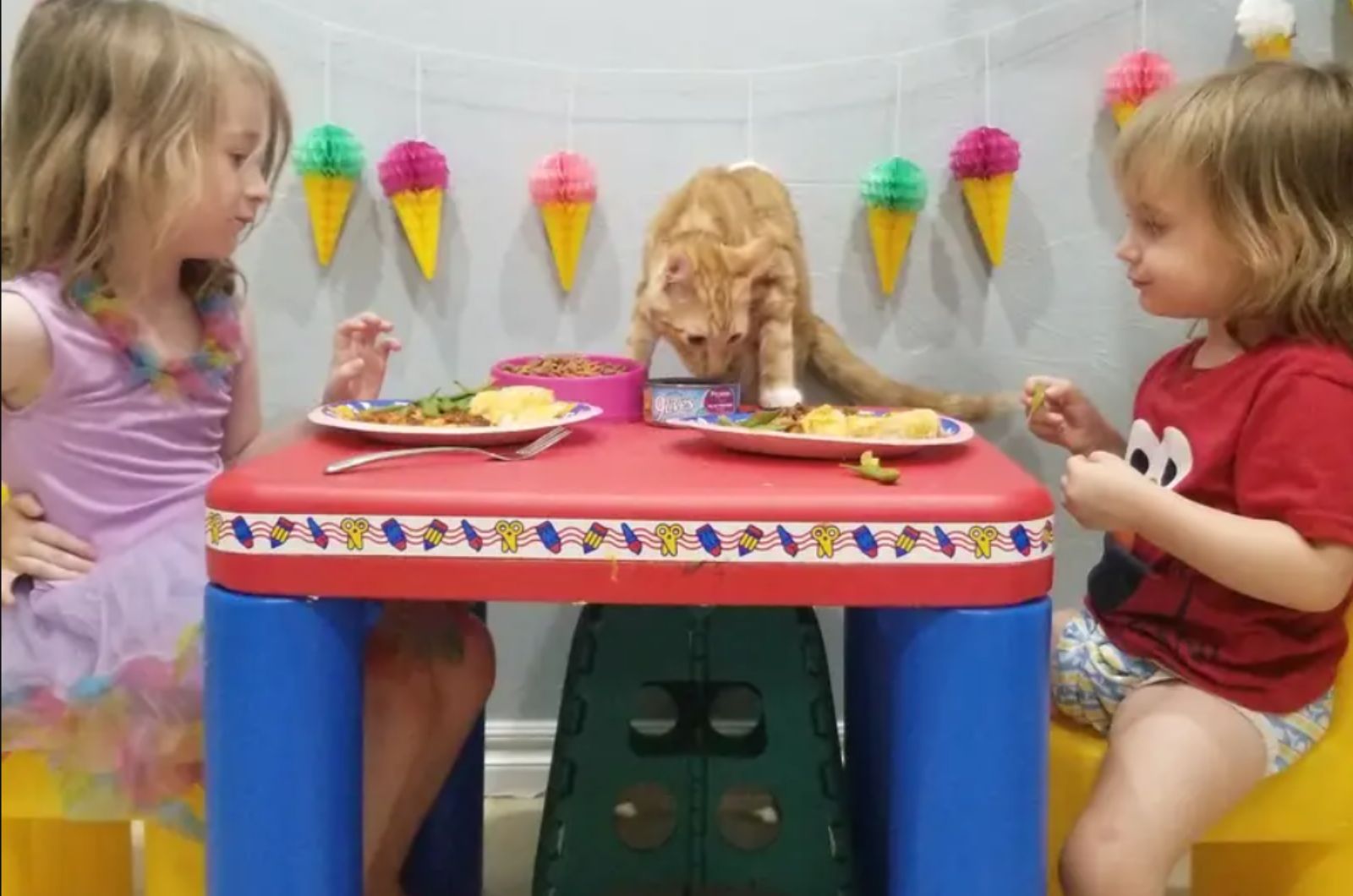 cat eating with two little girls