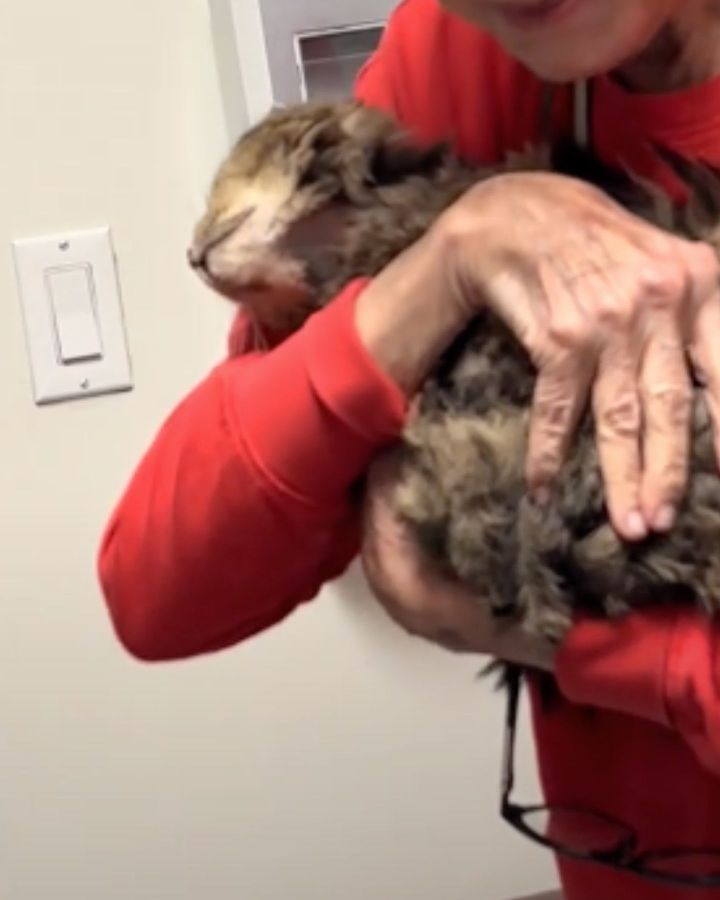 cat in embrace