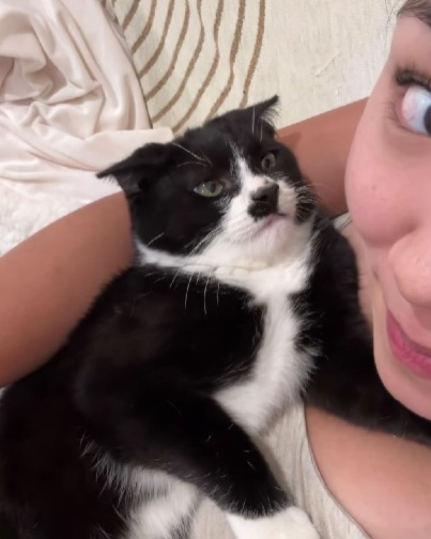 cat looking at woman