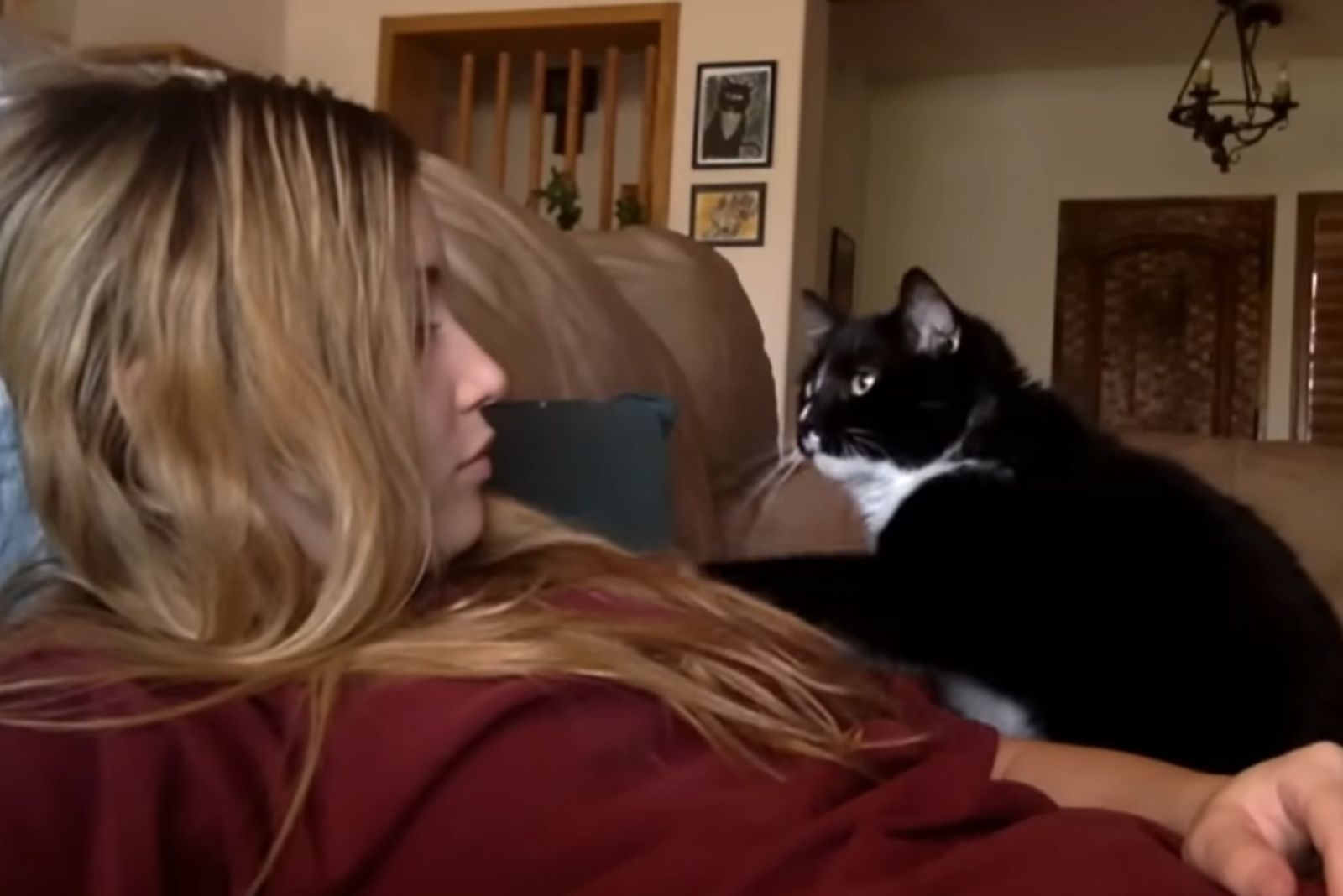 cat on woman