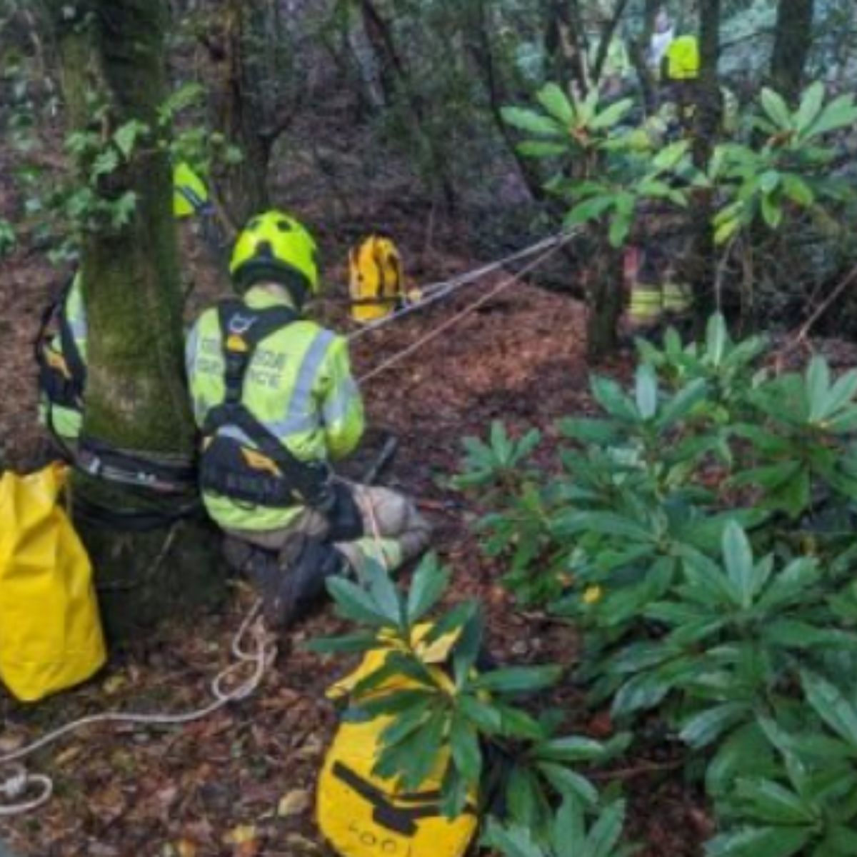 cat rescue from Mine Shaft