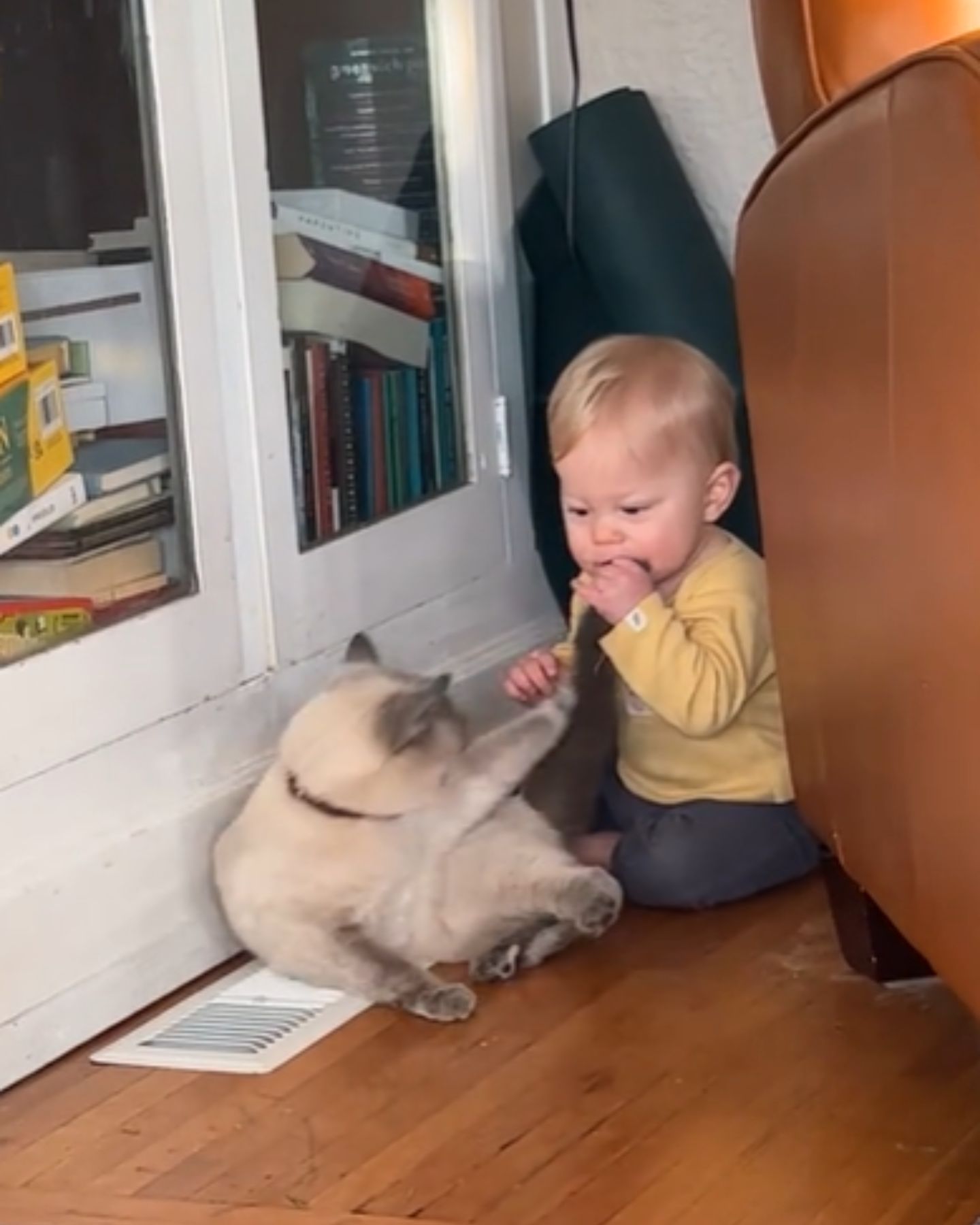 cat scratching baby