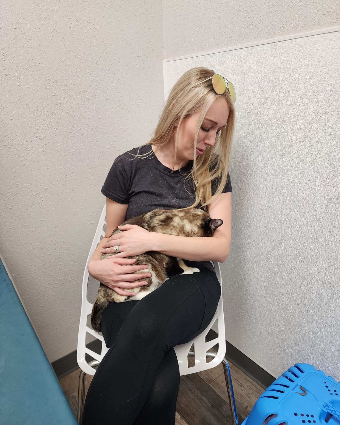 cat sitting in woman's lap