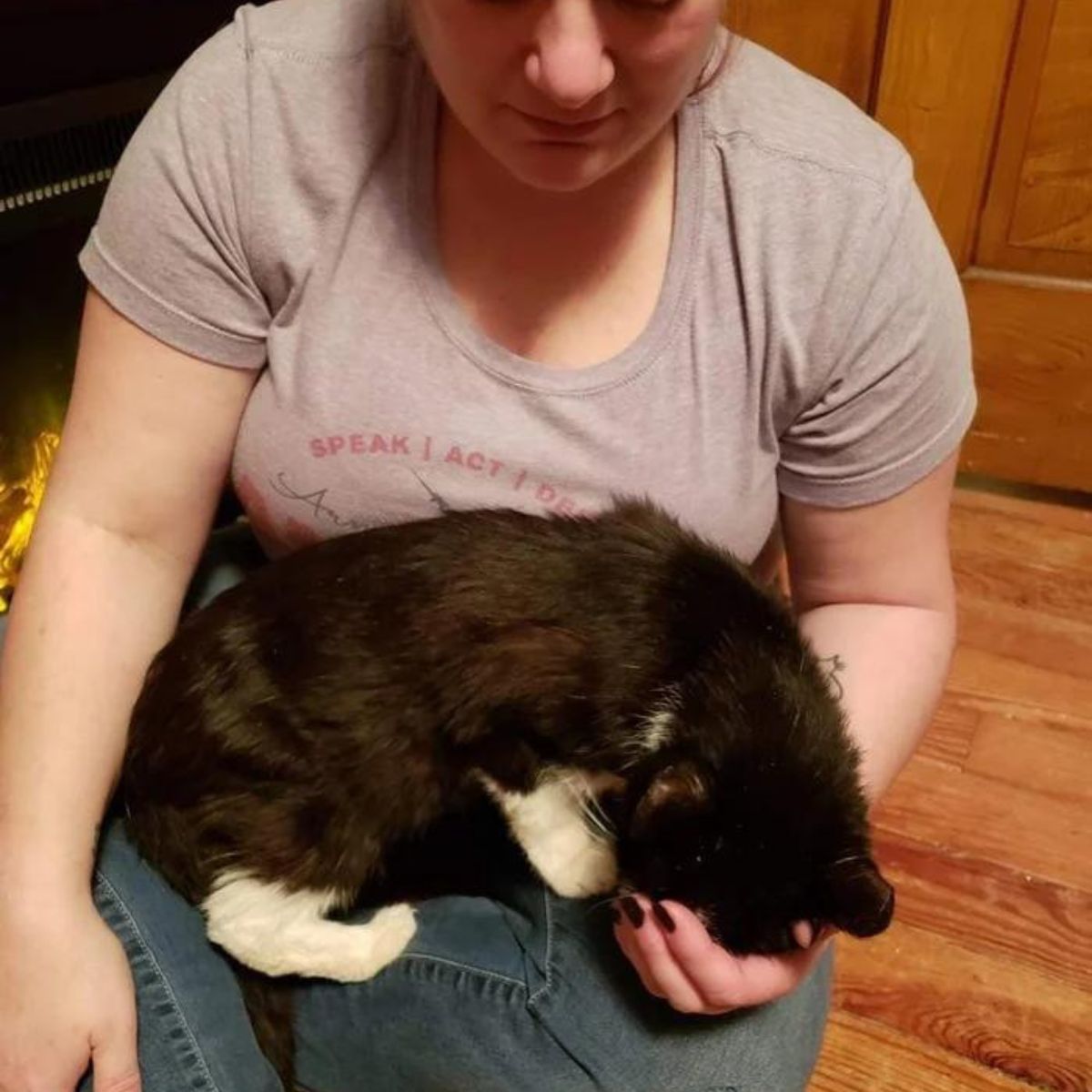 cat sitting in woman's lap