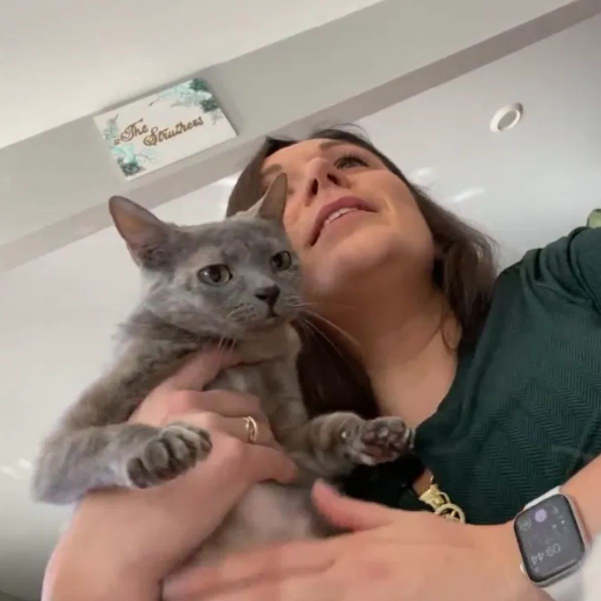 cat with its owner