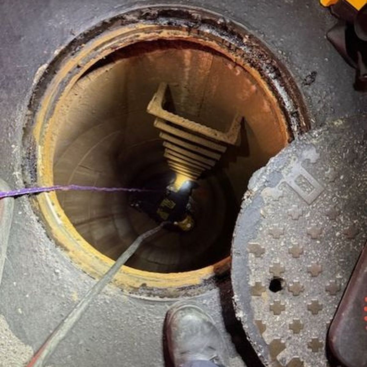 cat in storm drain