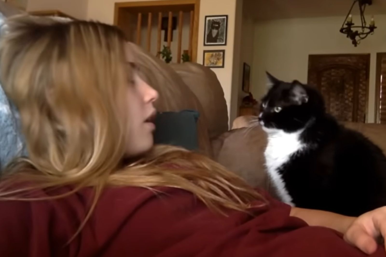 cute cat and woman