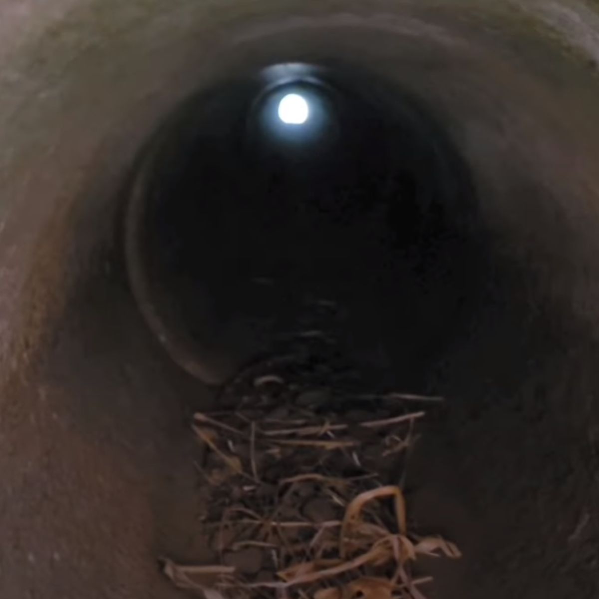 dark pipe