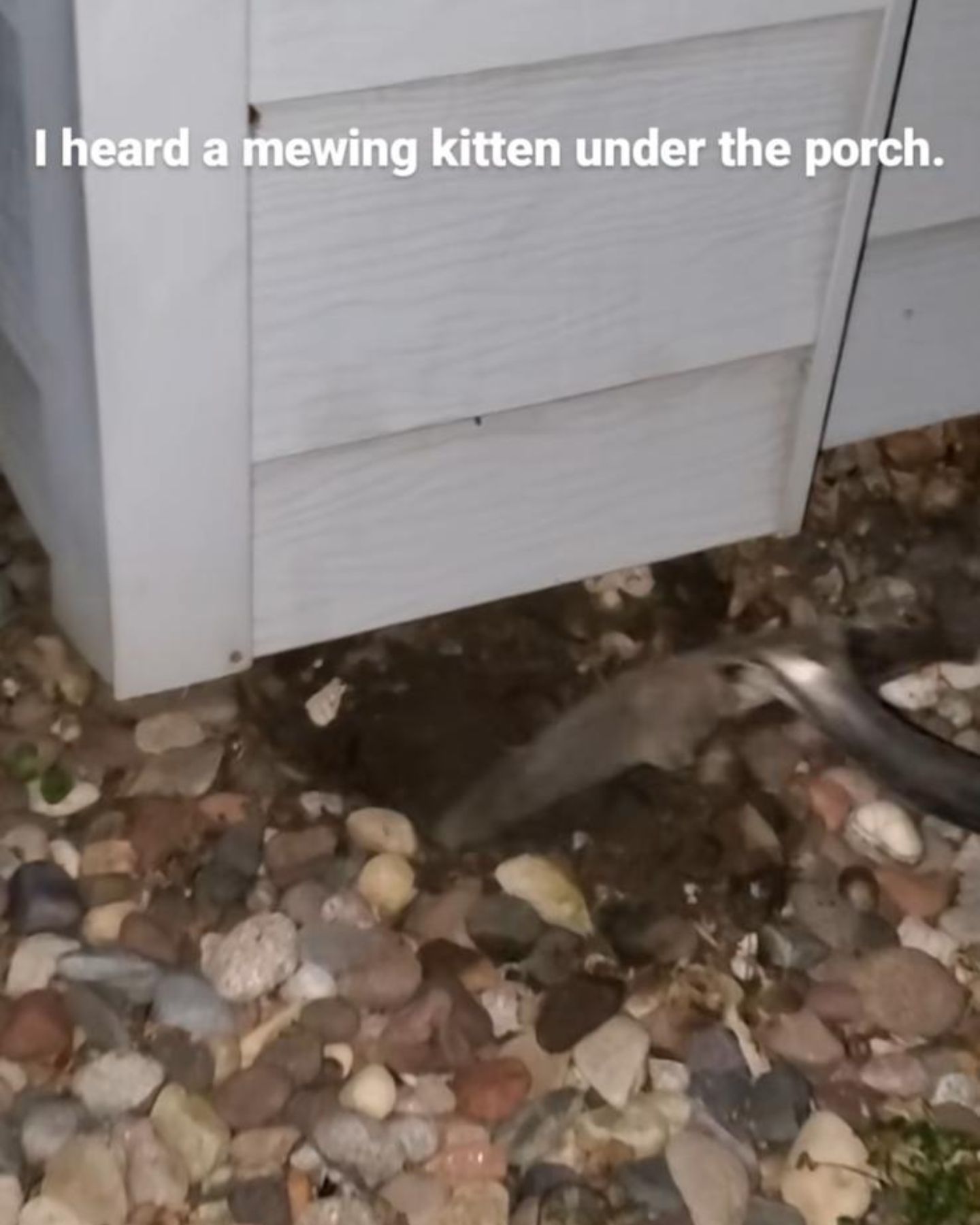 digging under a porch