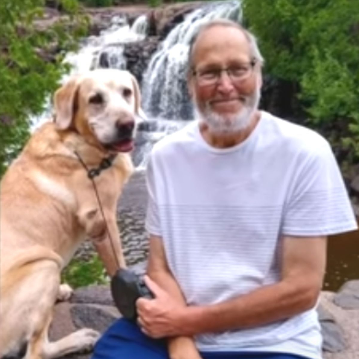dog and his owner