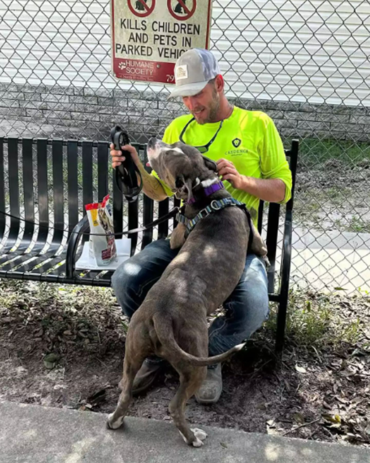 dog is happy with his new owner