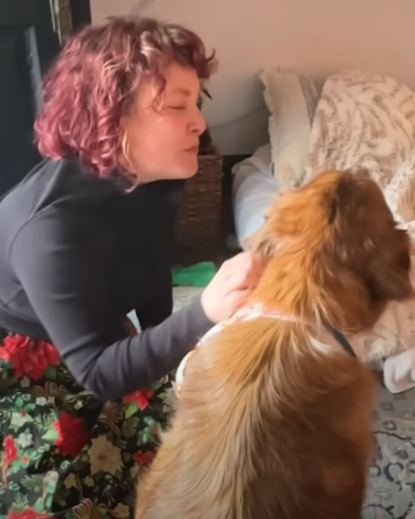 dog petting woman
