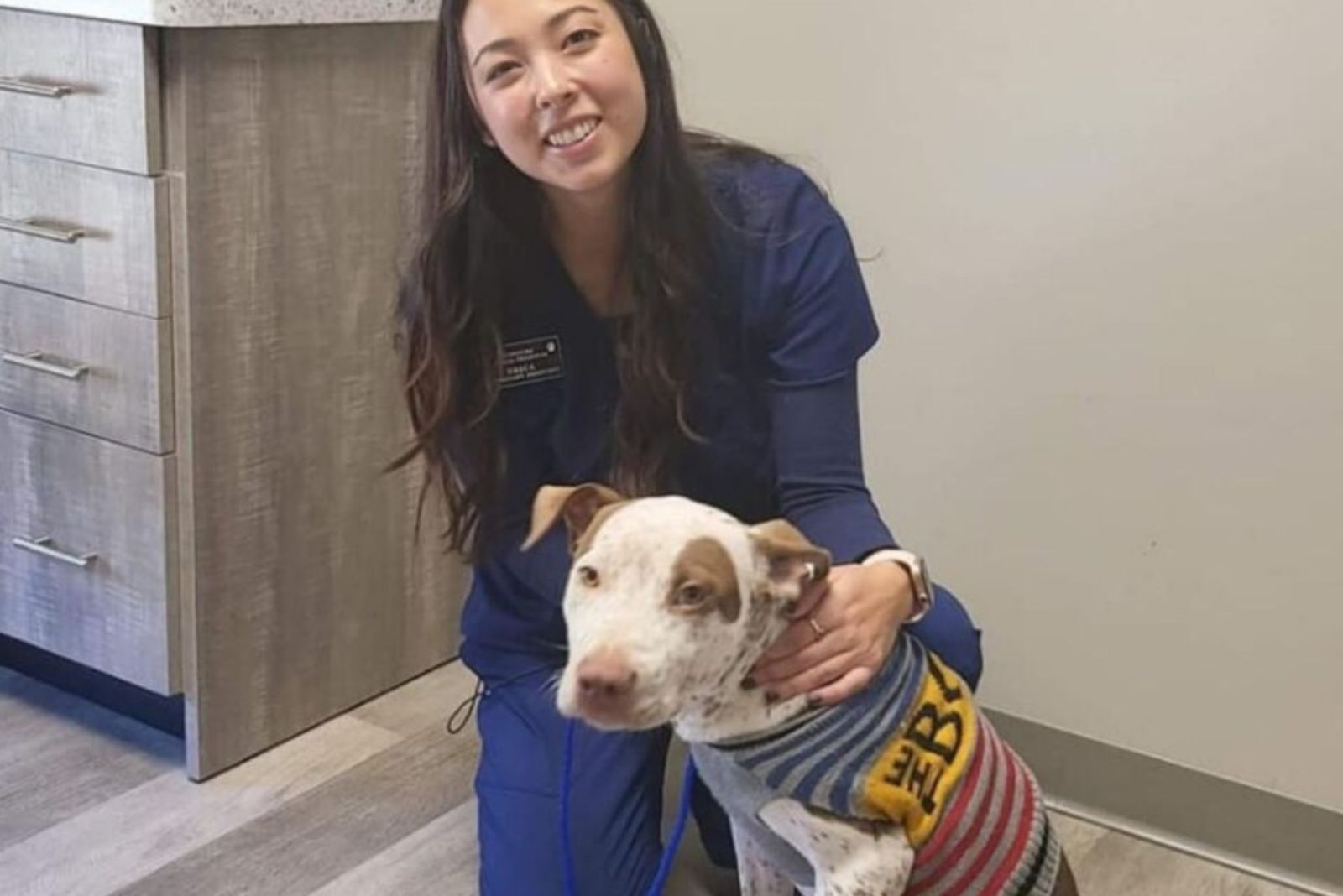 dog with a vet