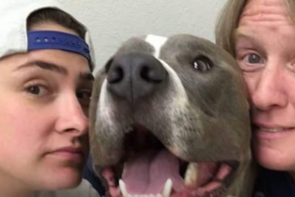 dog with women