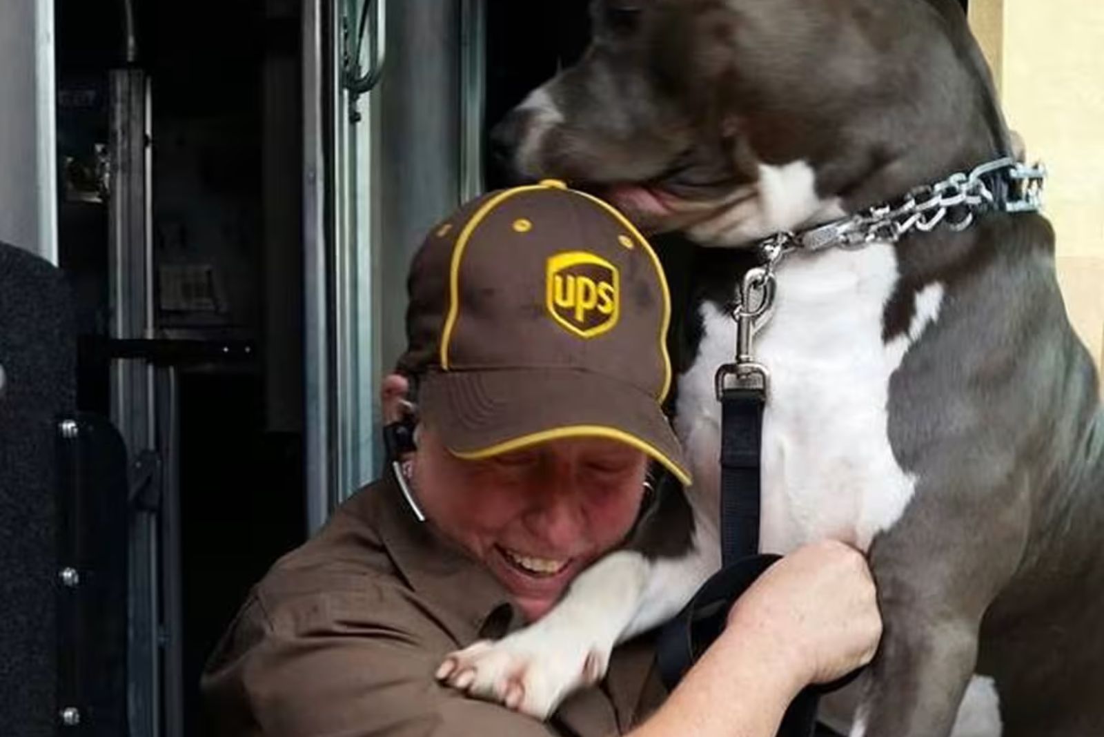 driver hugs dog