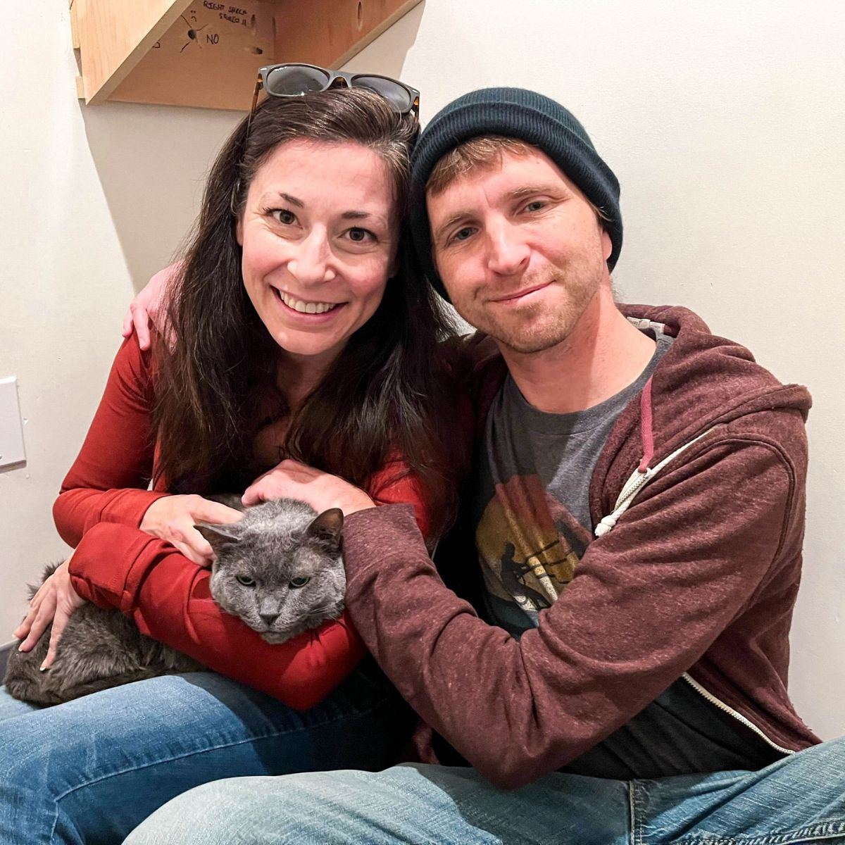 family adopts gray cat