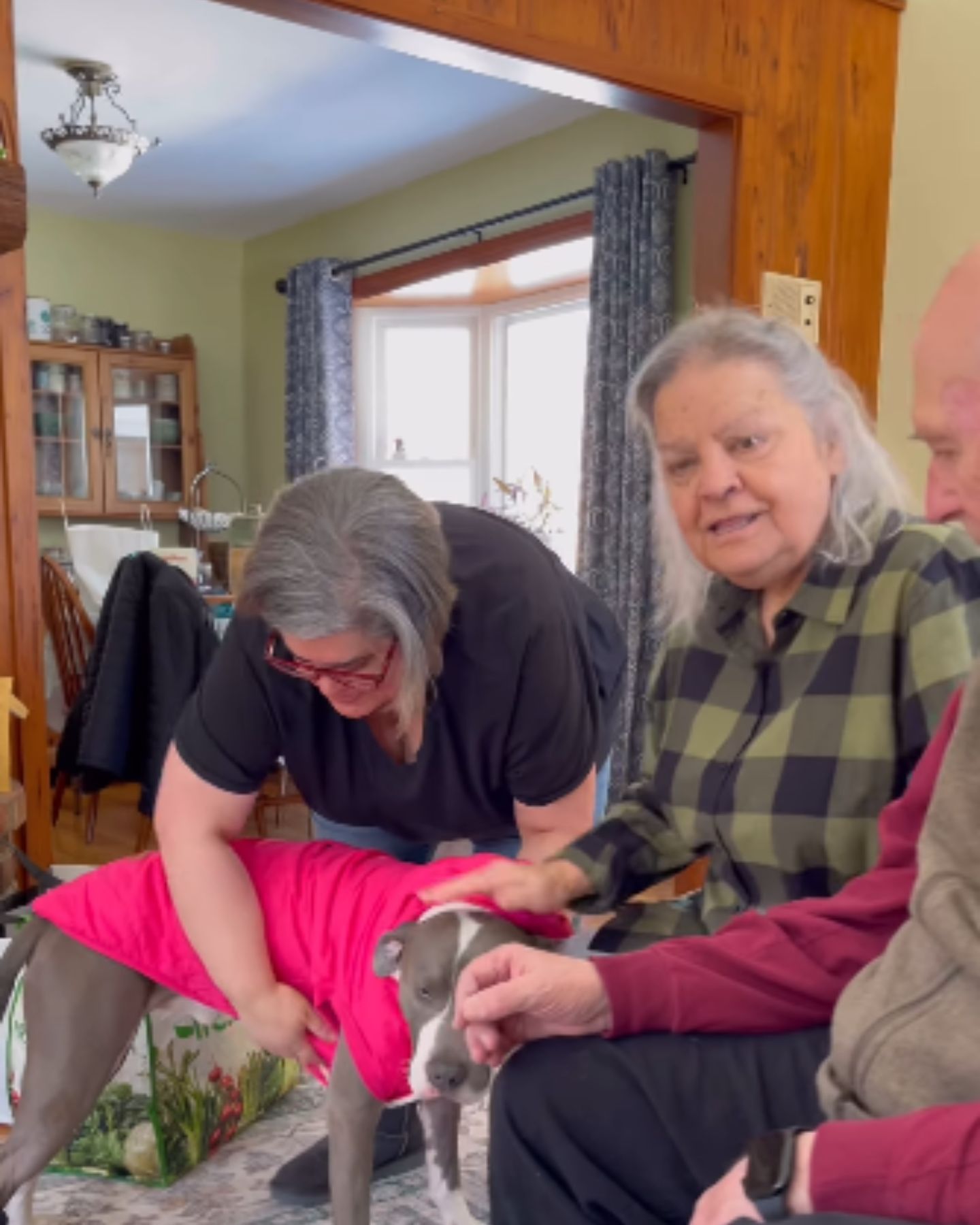 family meets new dog