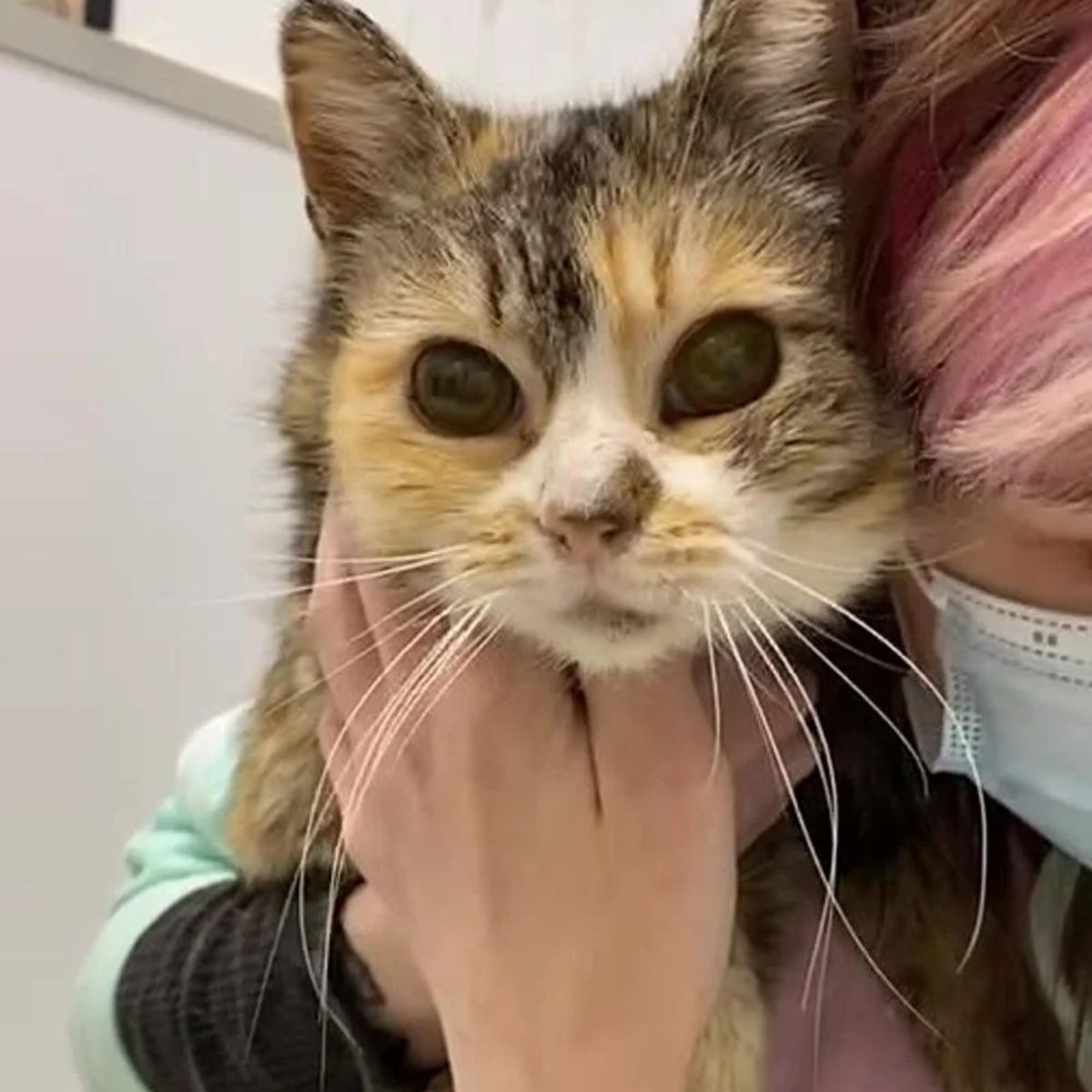 female hugging the cat