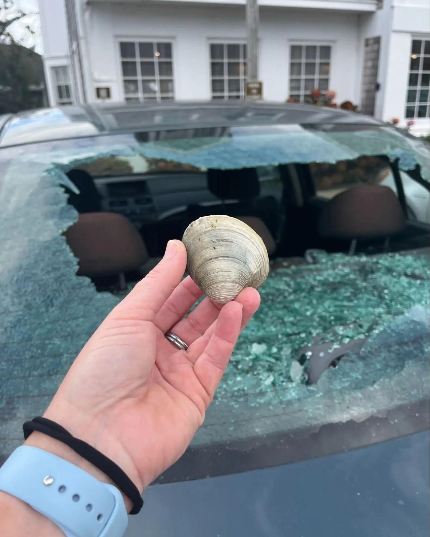 finding what broke the car window