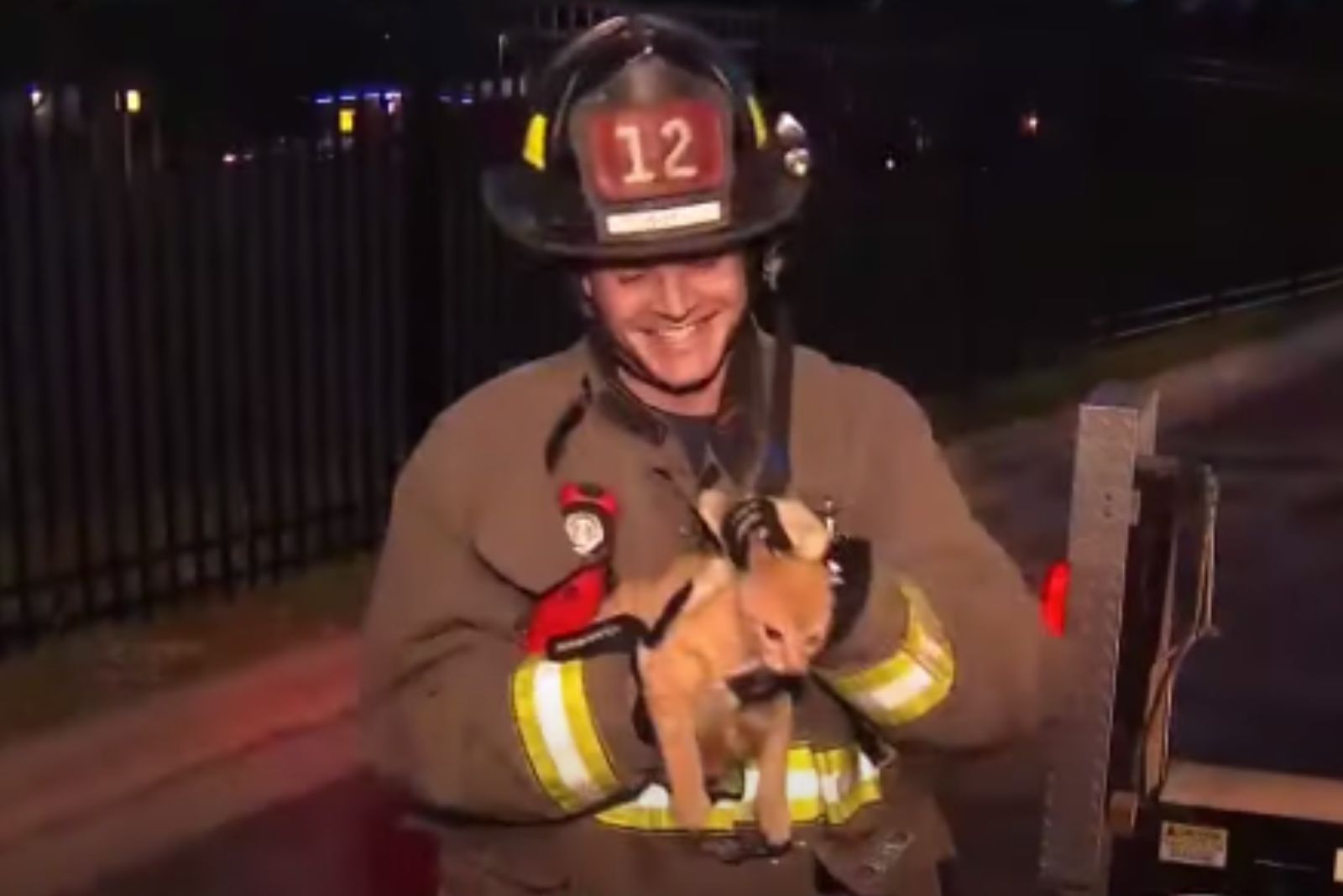 firefighter holding the cat