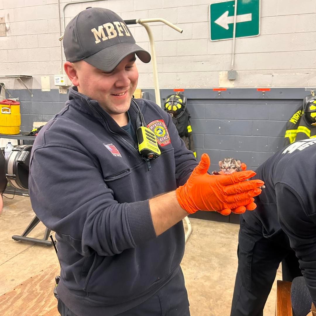 firefighter laughs at newborn kitten