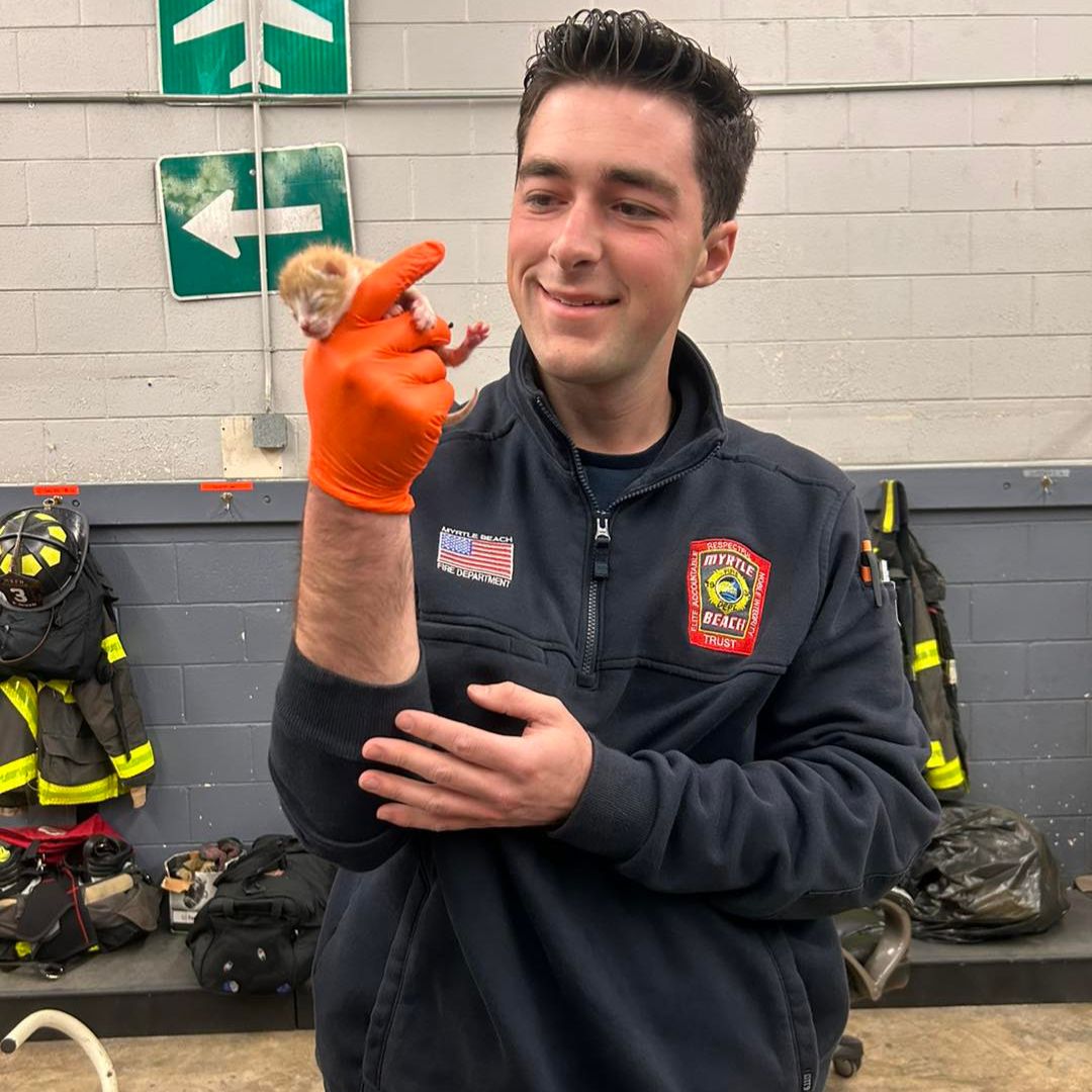 firefighter picks up newborn kitten