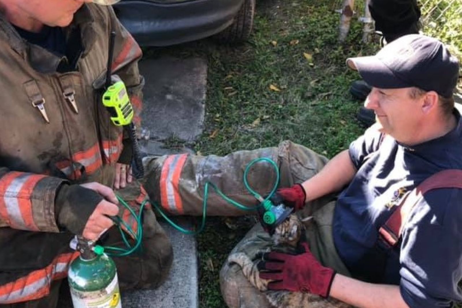 firefighters saving the kitten