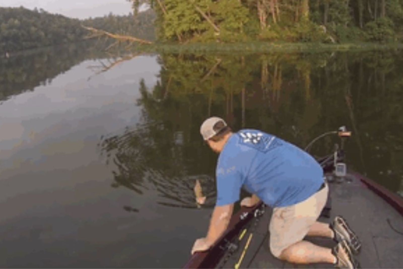 fisherman rescuing two kittens