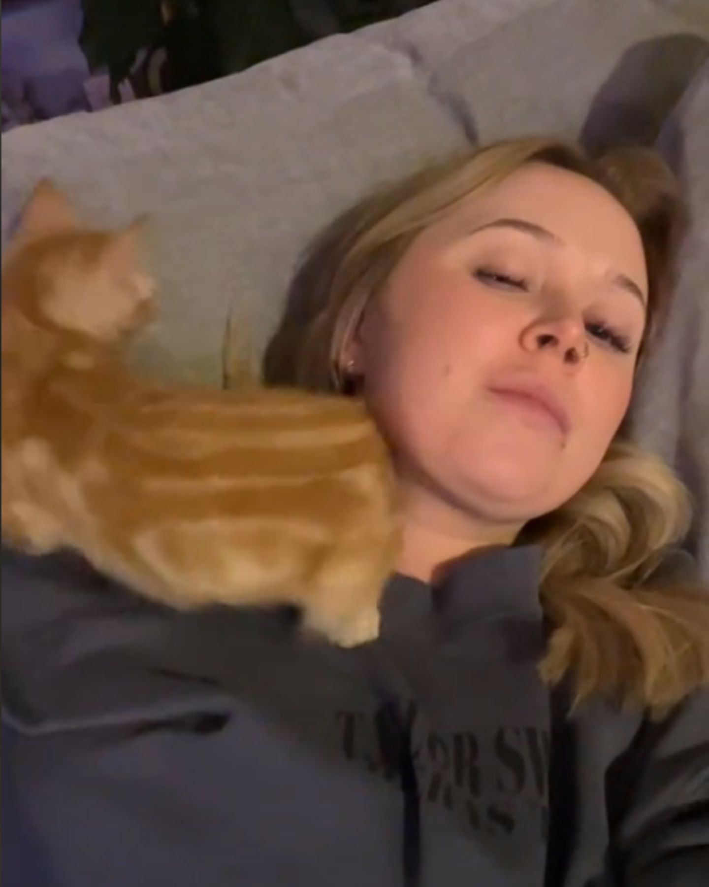ginger kitten on neck