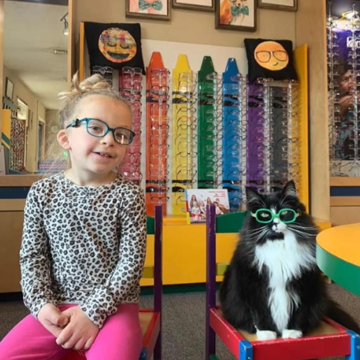 girl and cat wearing glasses