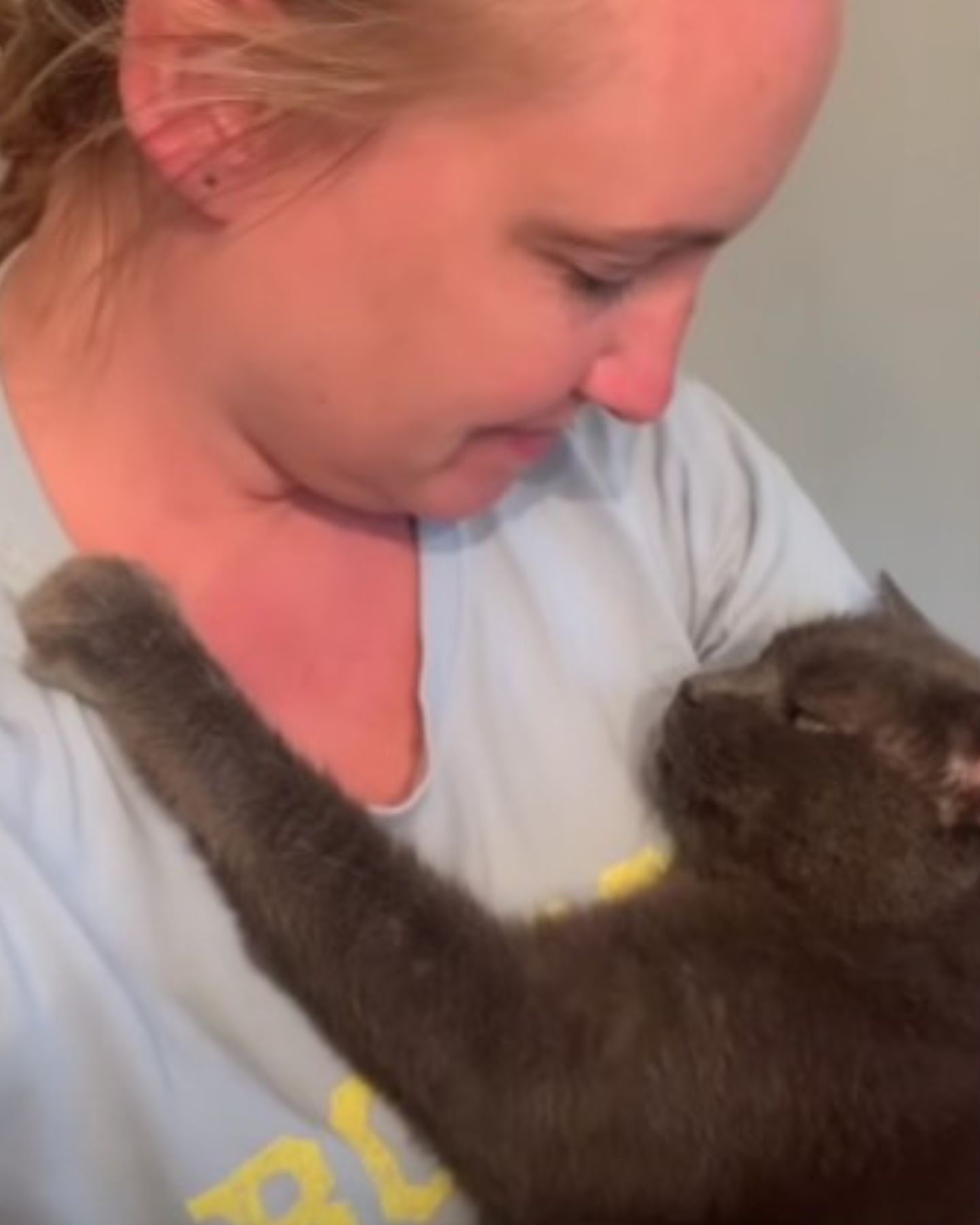 gray cat hugging woman