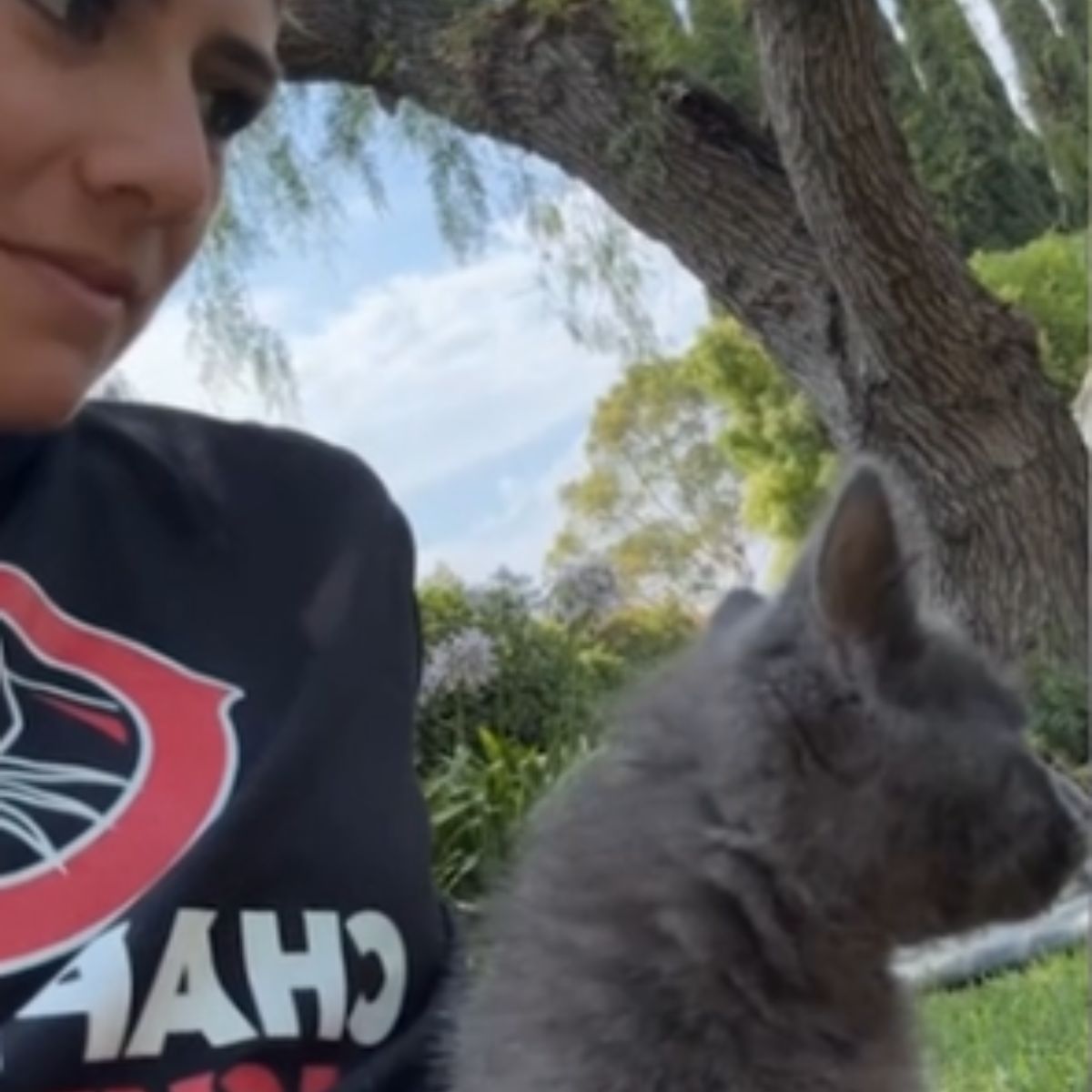 gray kitten in the arms of a woman