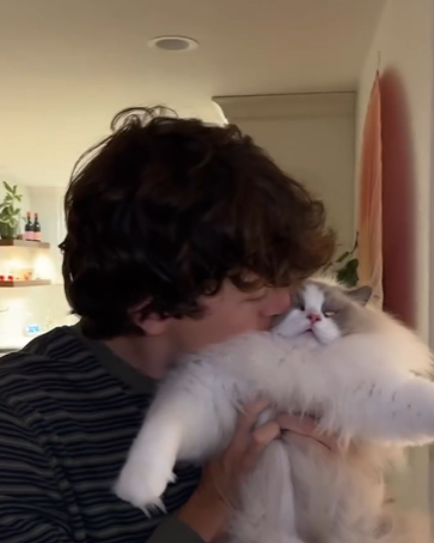 guy kisses cat
