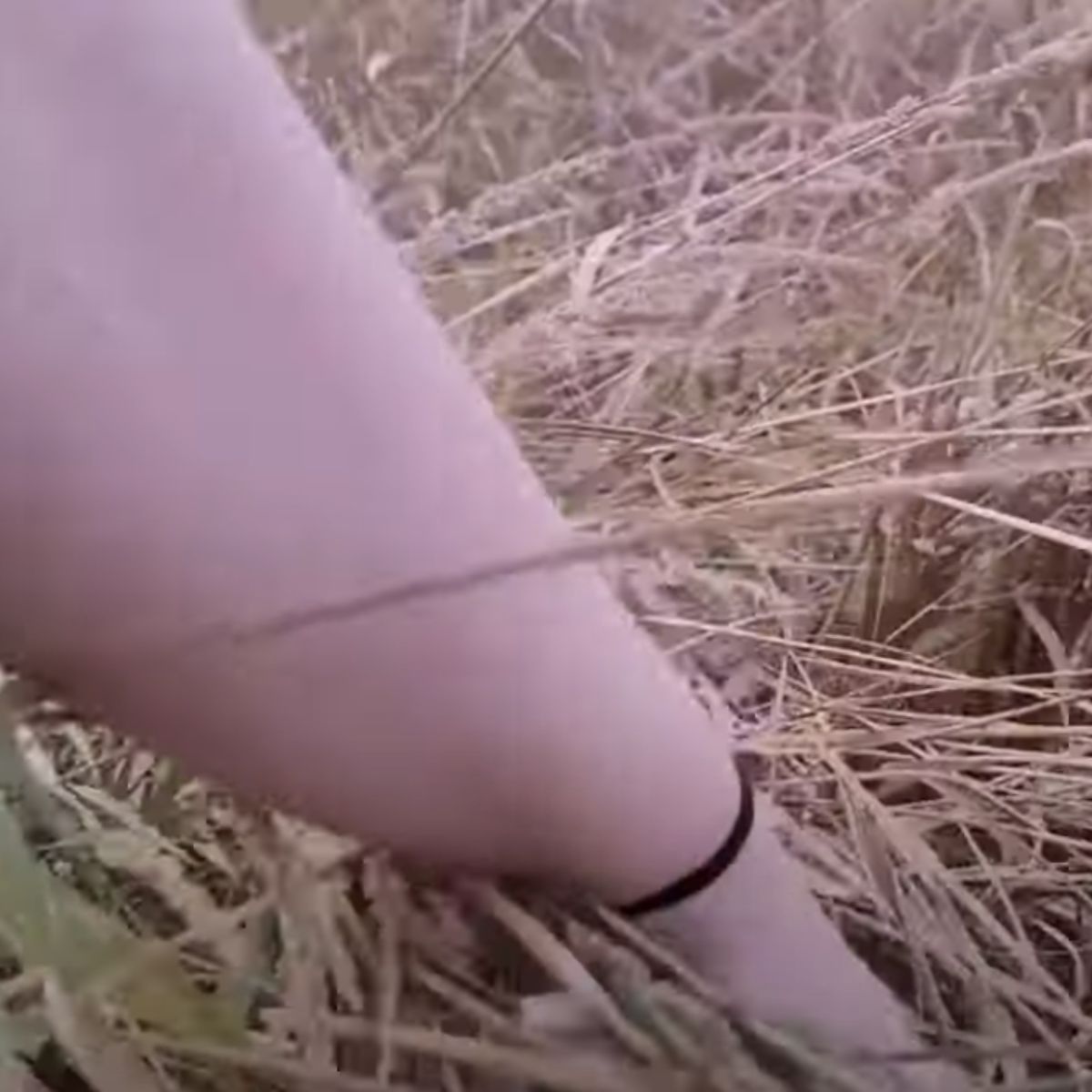 hand touching the grass