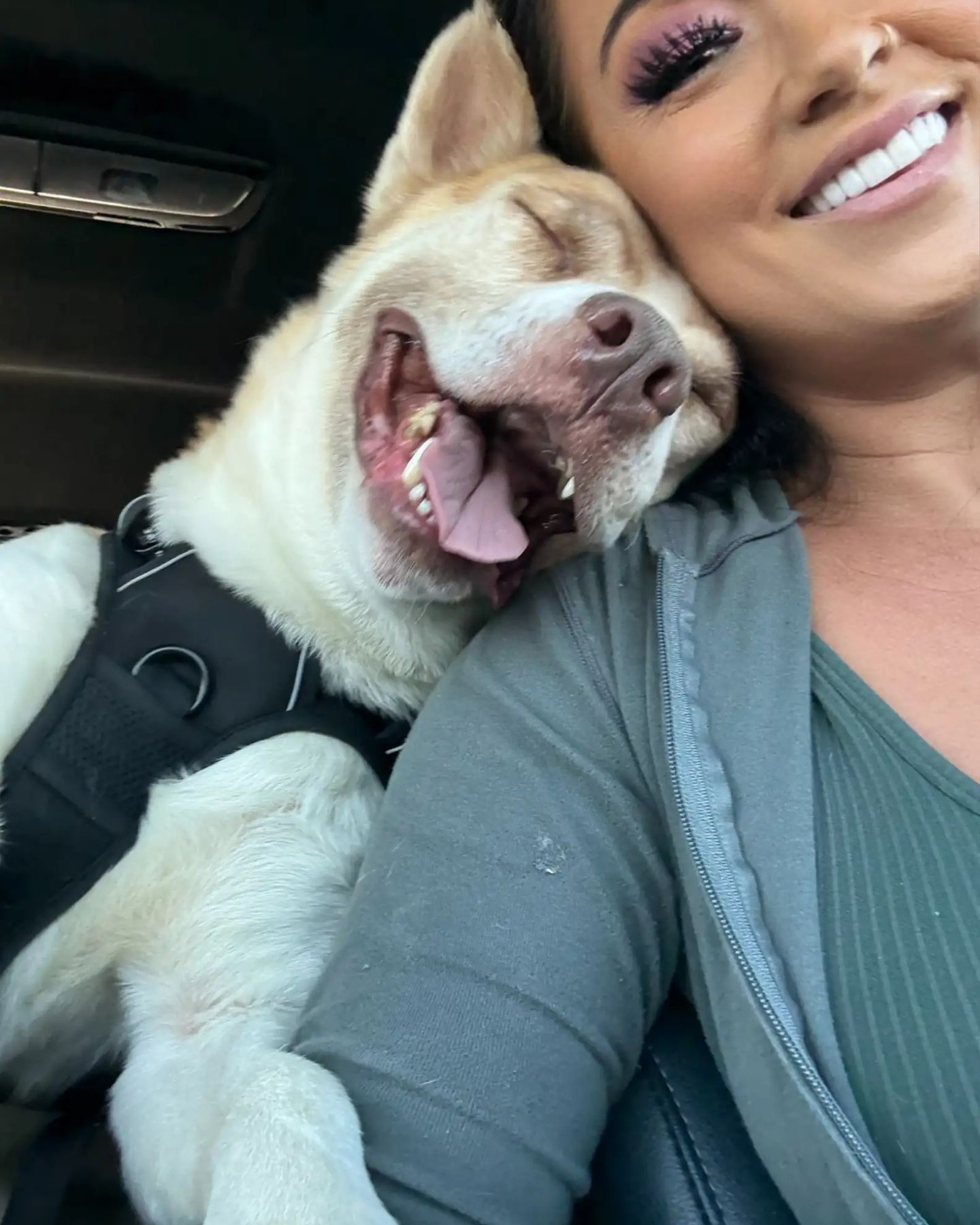 happy dog and woman