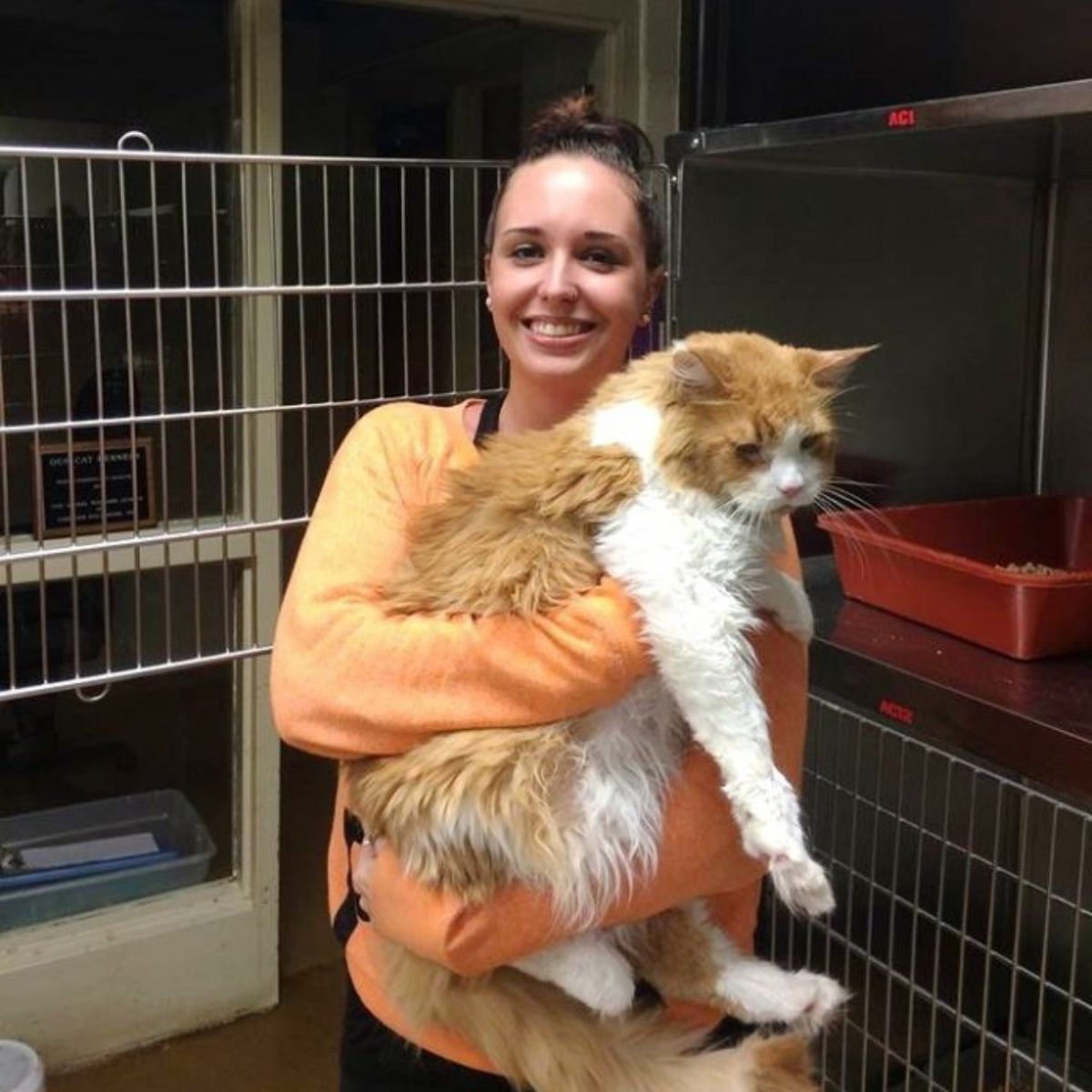 happy woman holding giant cat