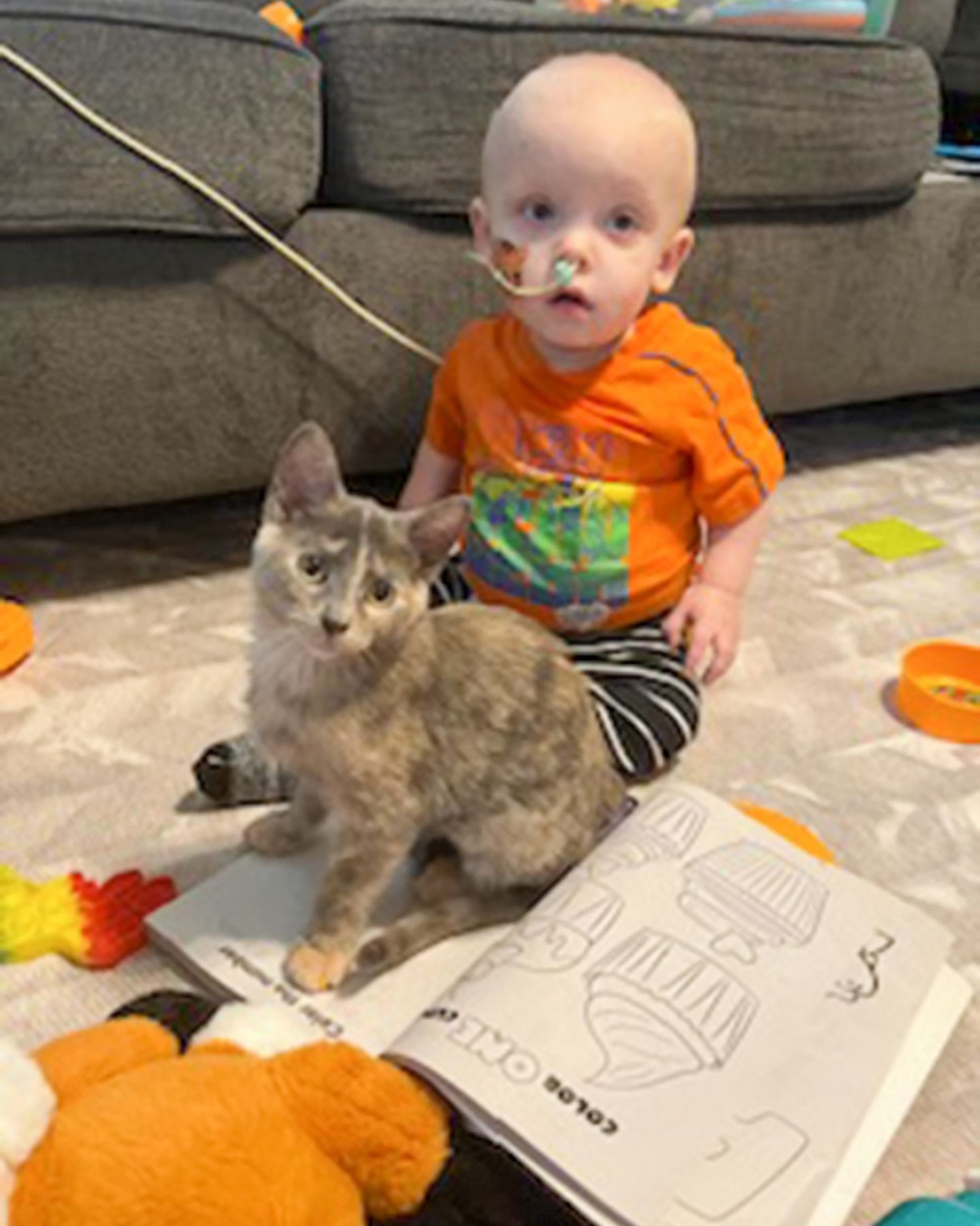 kitten and little boy sitting on the floor