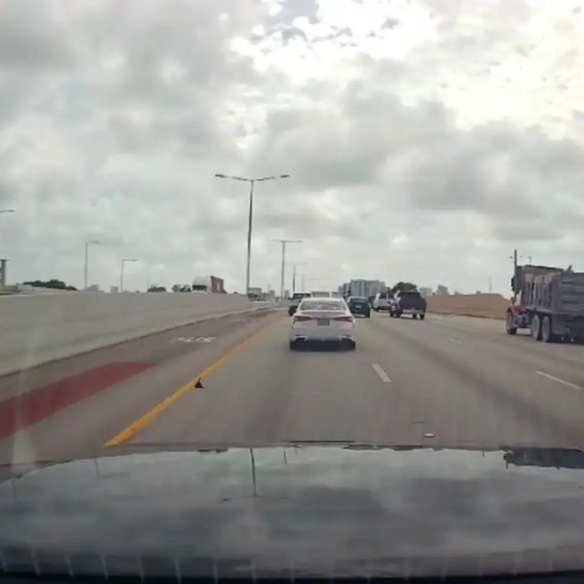 kitten on a highway