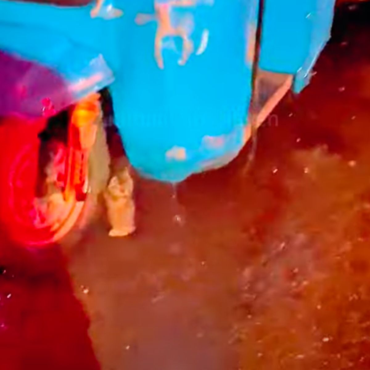 kitten trapped under truck