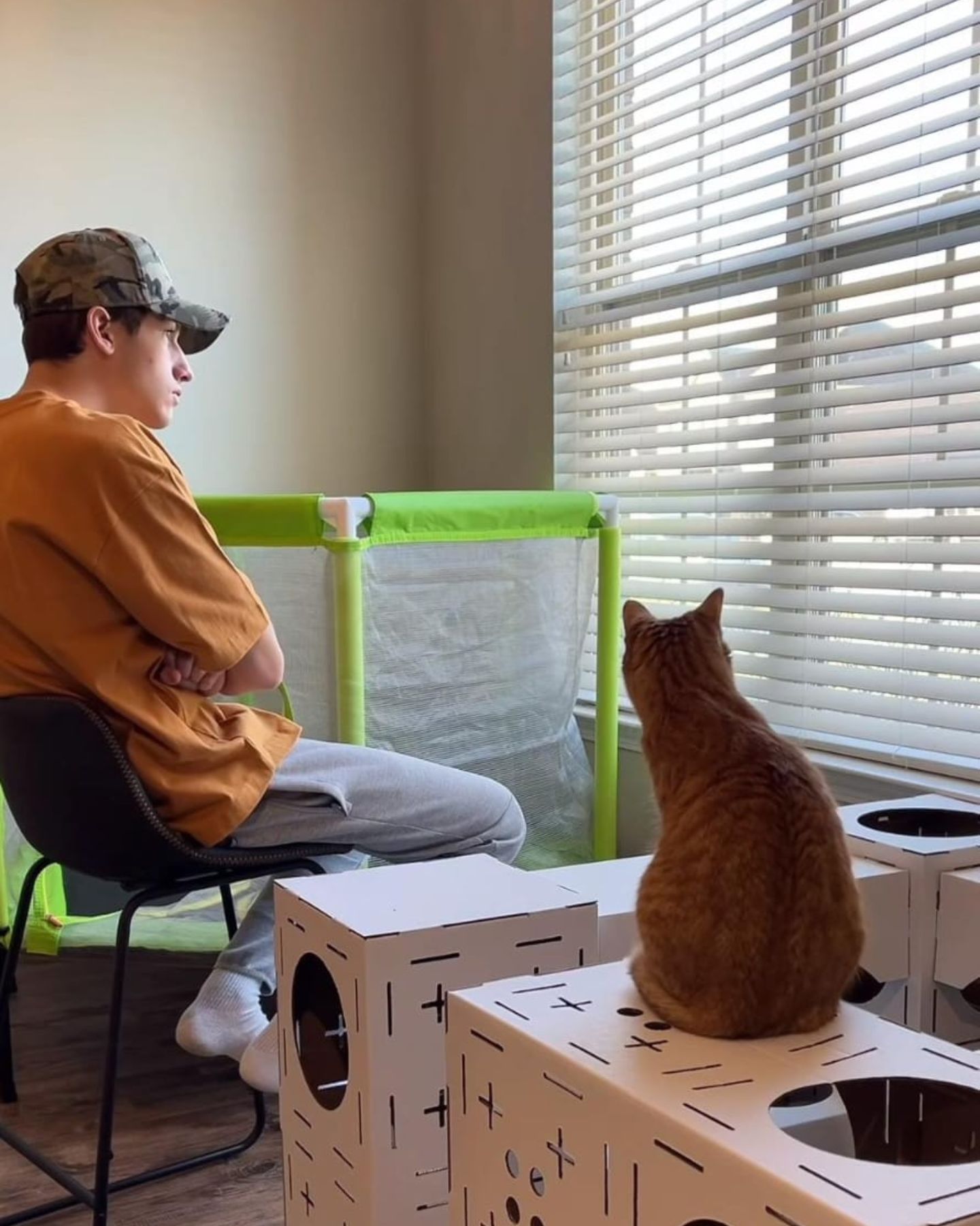 man and cat looking out the window
