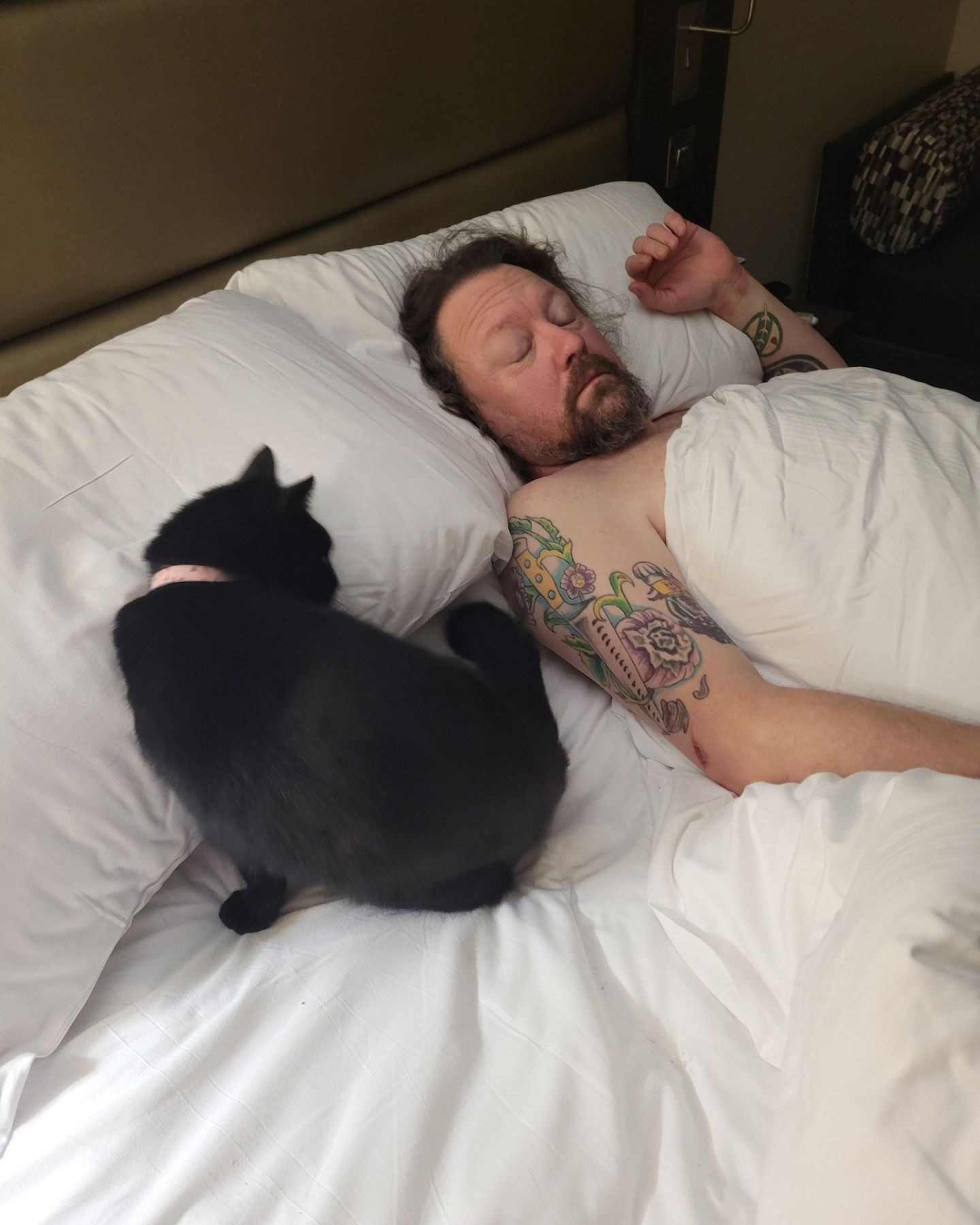 man and cat lying in bed