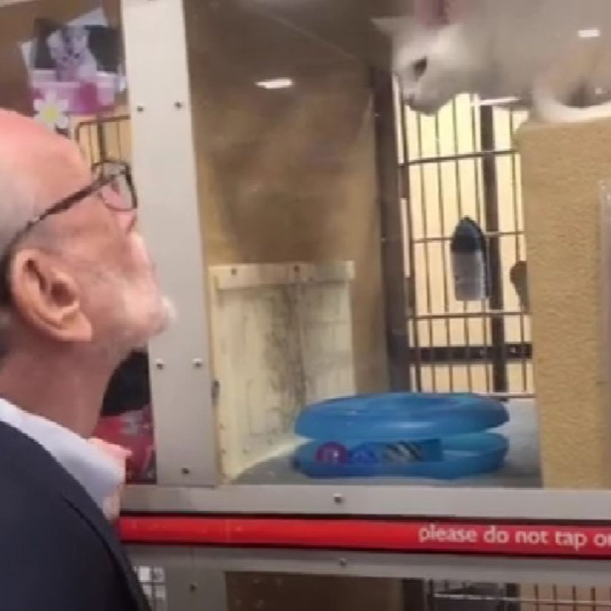 man and rescue cat