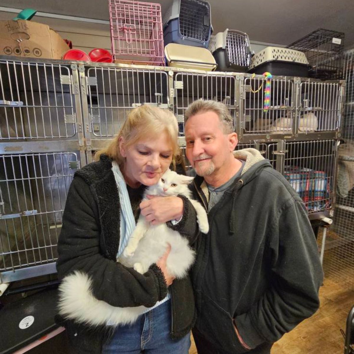 man and woman holding a cat