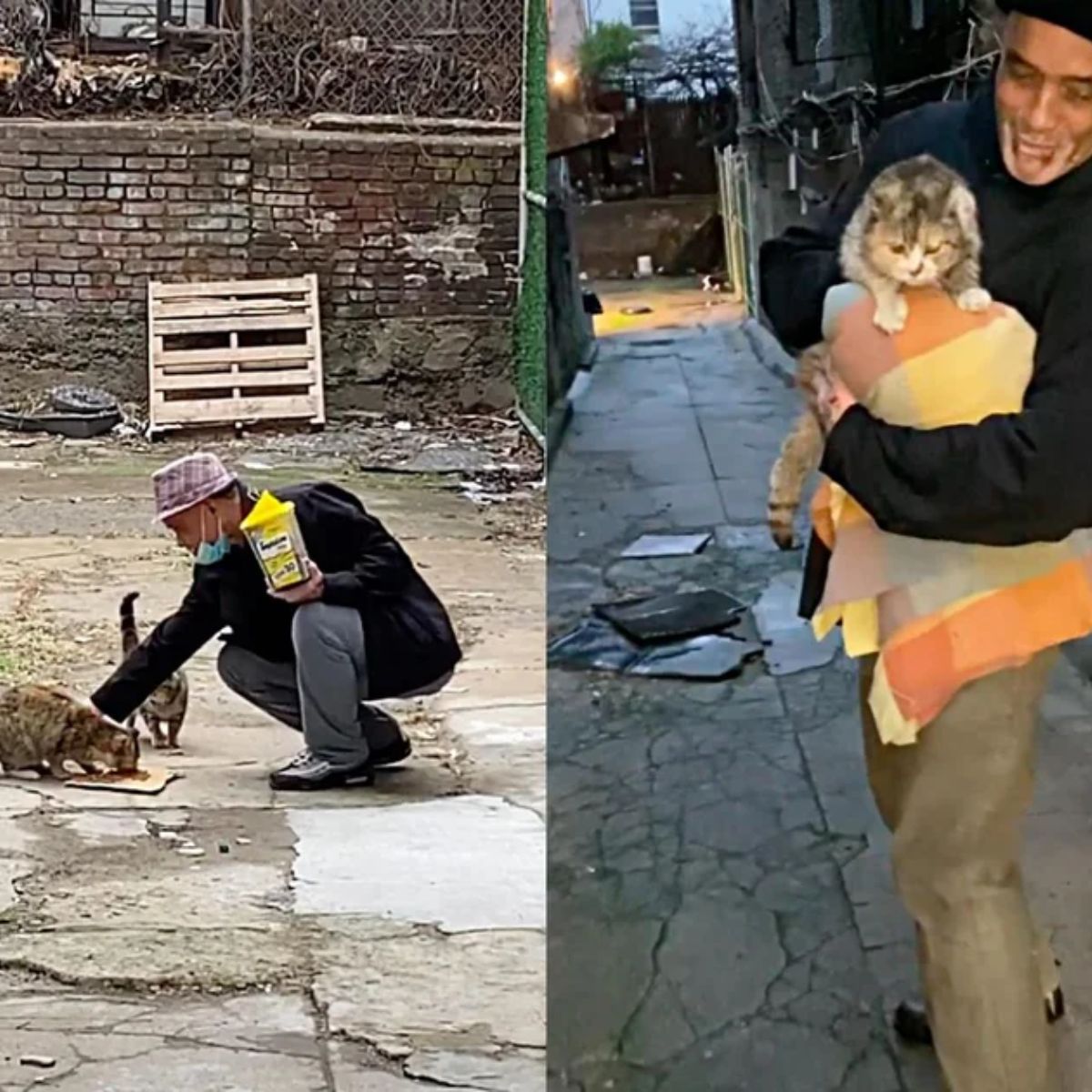man feeding the cat
