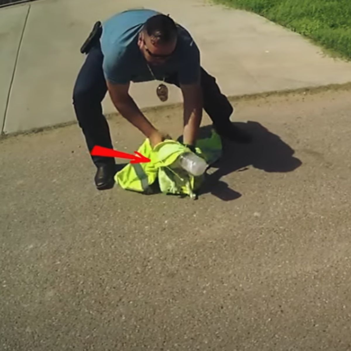 man helping out the cat