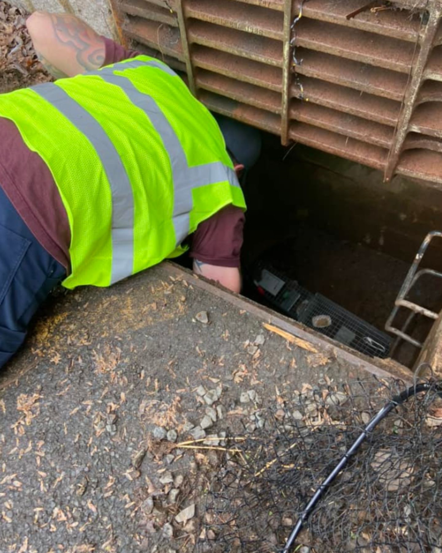 man helping the kitten