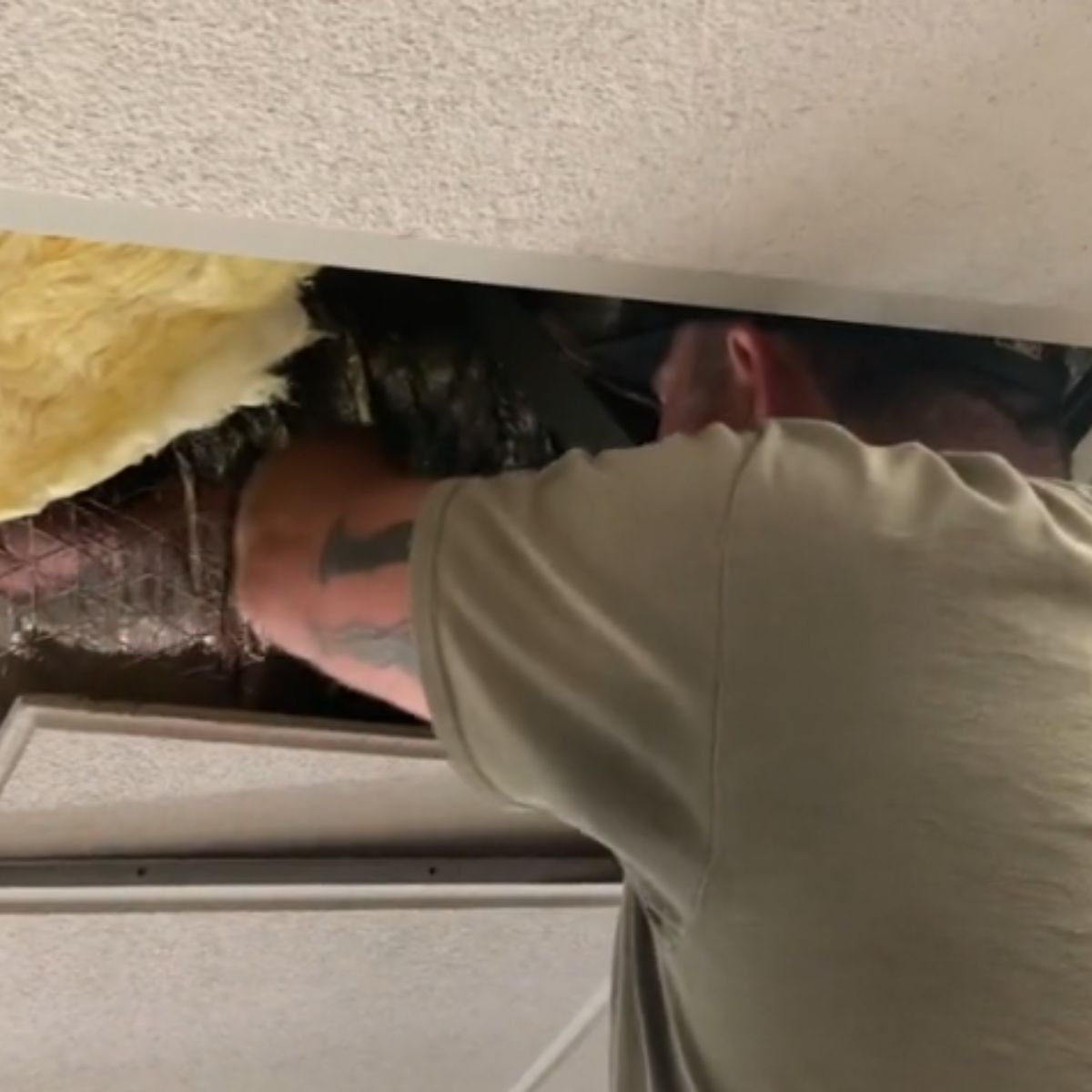 man helping the kittens