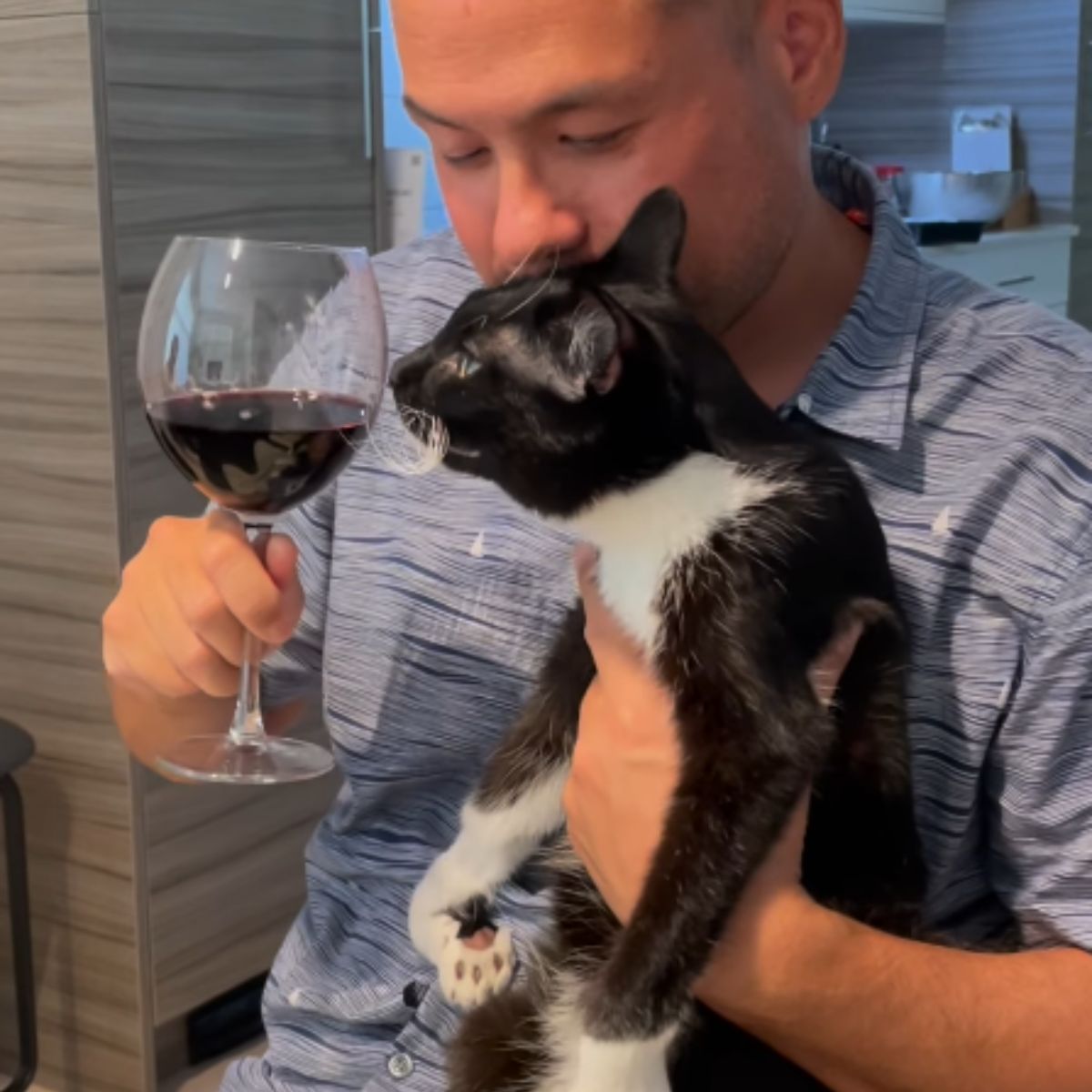 man holding glass of wine and cat