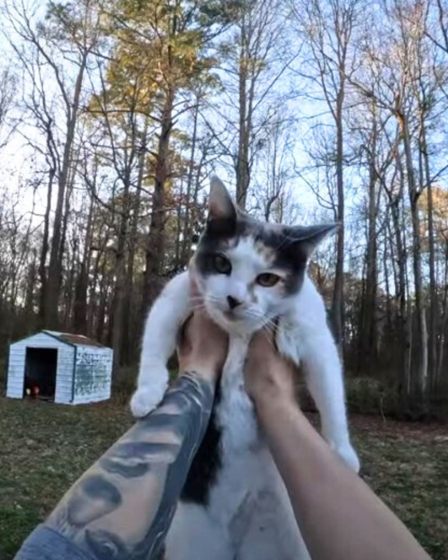 man holding up the cat