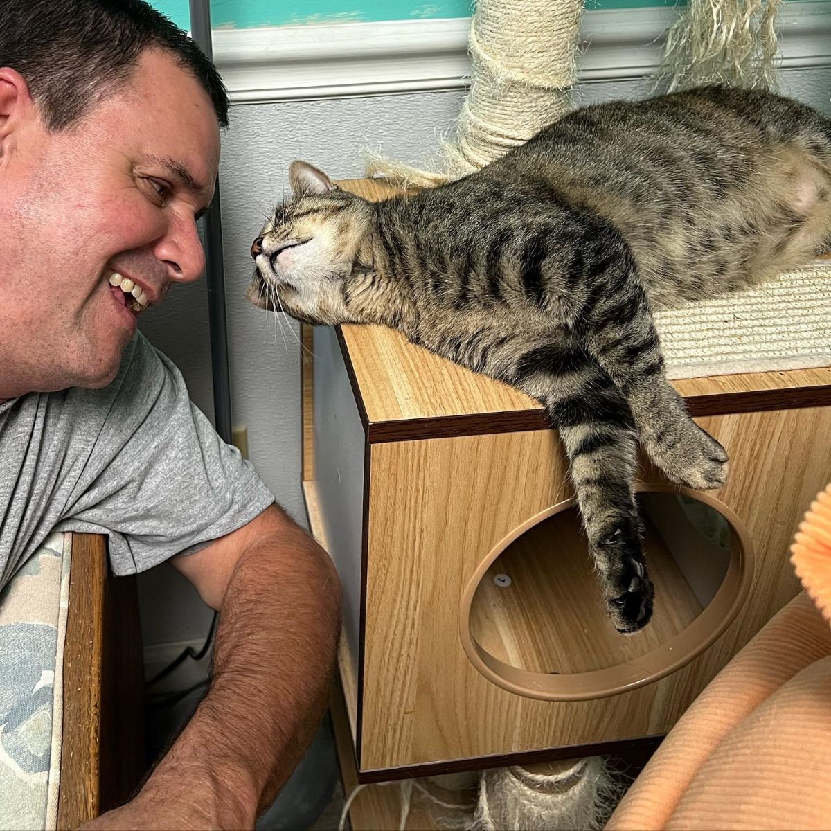 man looking at cat lying